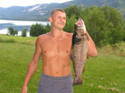 fisk