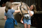 hest